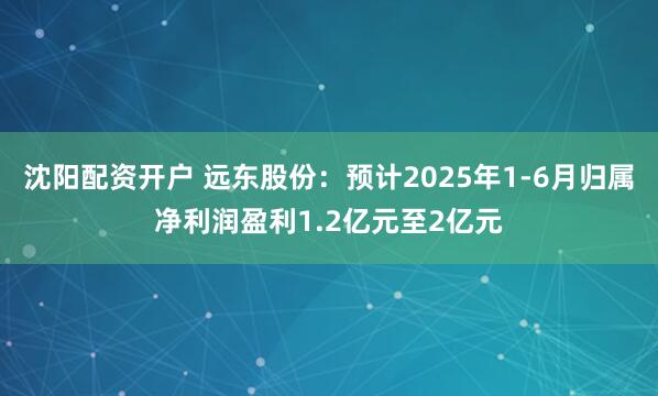 沈阳配资开户 远东股份：预计2025年1-6月归属净利润盈利1.2亿元至2亿元