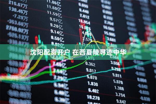 沈阳配资开户 在西夏陵寻迹中华