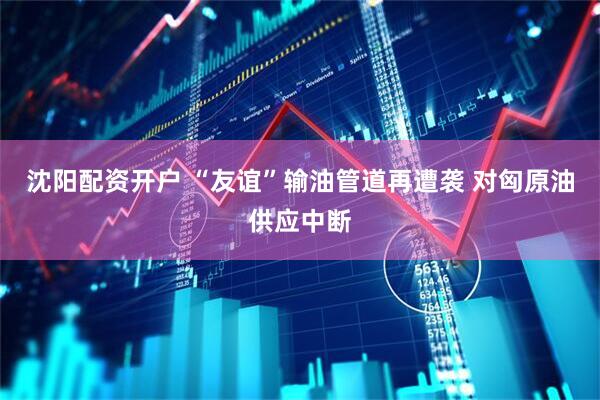沈阳配资开户 “友谊”输油管道再遭袭 对匈原油供应中断